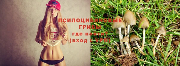 наркотики Горняк