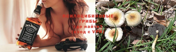 мет Горнозаводск