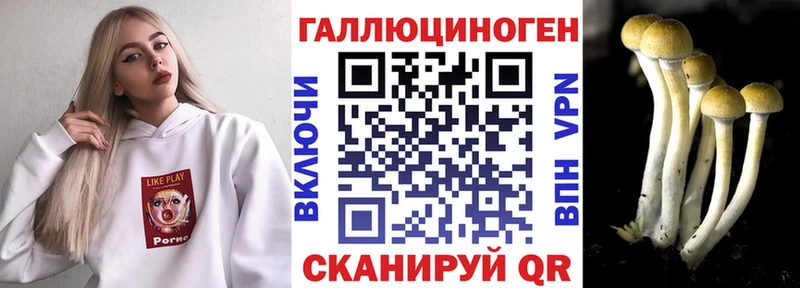 Галлюциногенные грибы мицелий  Купить  Кирово-Чепецк 